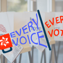Every Voice Every Vote_Article