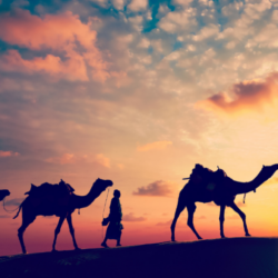 lech lecha - camels and bedouins walking in the desert sillouetted by the sunset with clouds in the sky