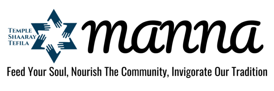 Copy of MANNA Logo (1200 x 400)